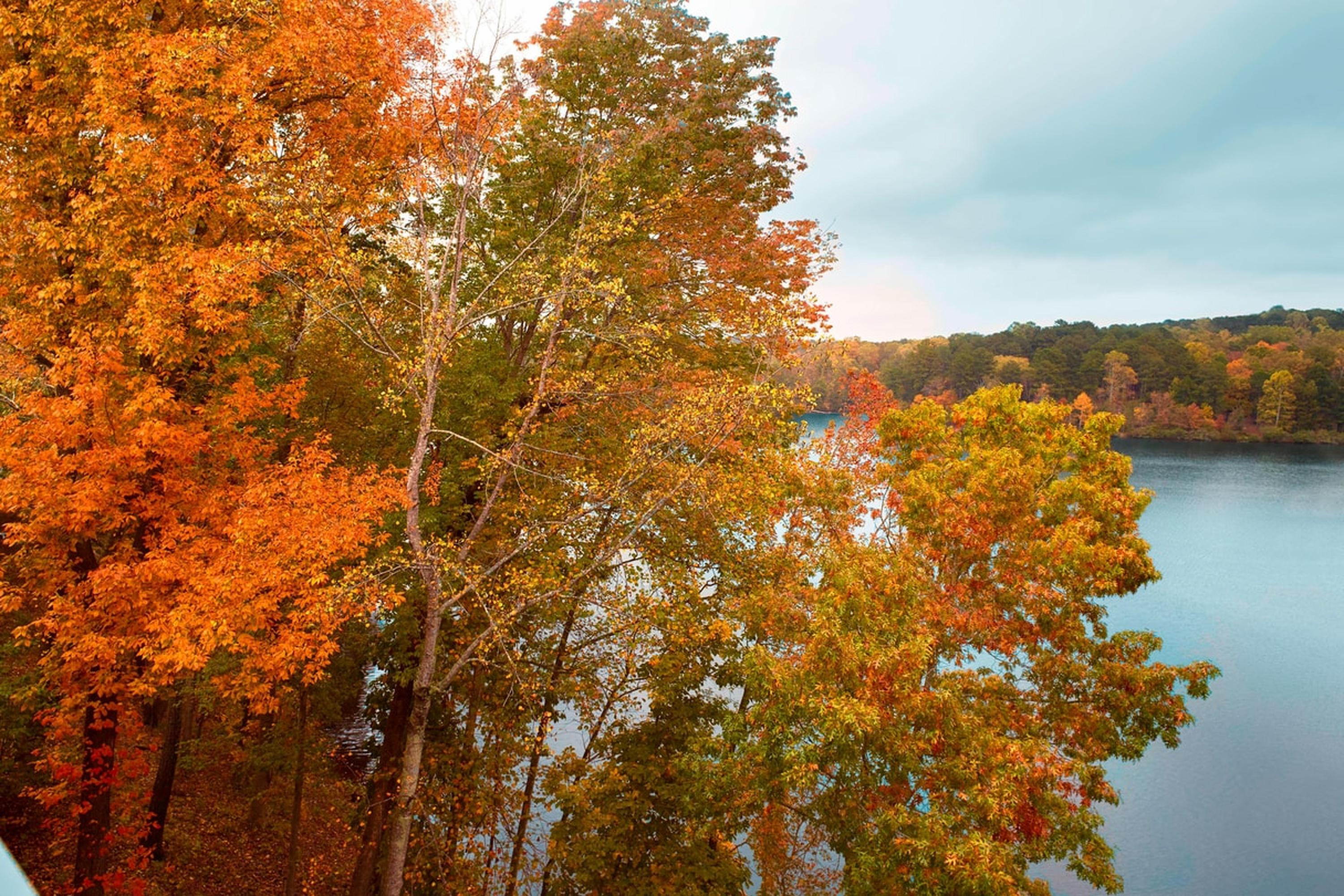 Atlanta Evergreen Lakeside Resort Стон Маунтин Экстерьер фото